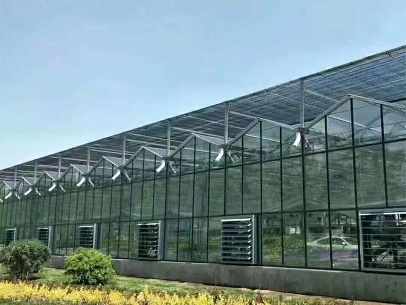 Τι κάνει το Steel Vertical Farm το μέλλον της βιώσιμης γεωργίας;